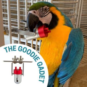 Goodie Gadget Foraging Puzzle Parrot Toy