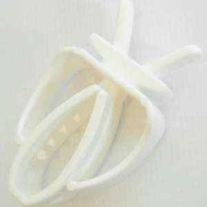 Cuttlefish and Millet Spray Holder