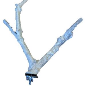 Kayu Wood Multibranch Perch (available in 5 sizes)