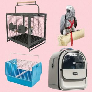 TRANSPORT CAGES, BACKPACK CARRIERS & HARNESSES