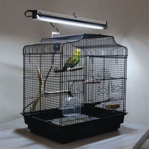CAGE ACCESSORIES & LIGHTING